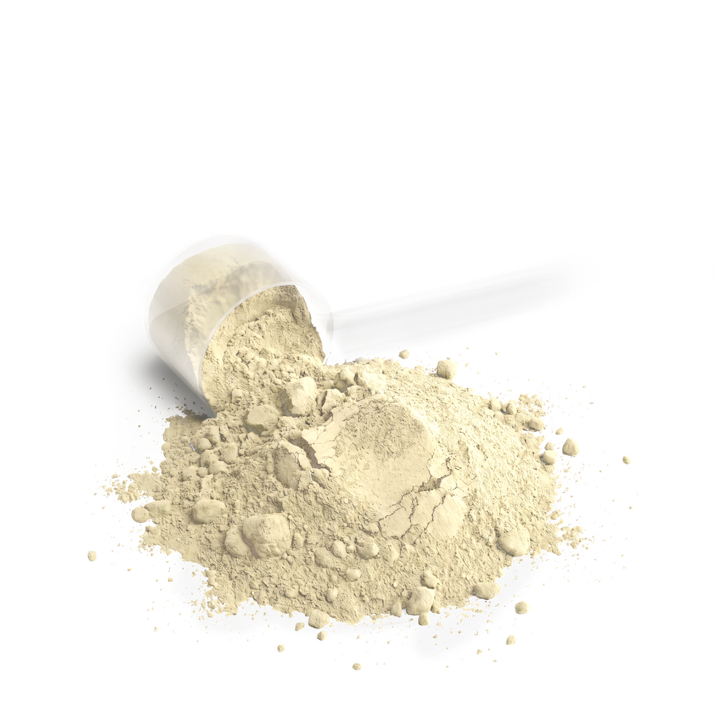 Vanilla Performance Whey Protein Blend